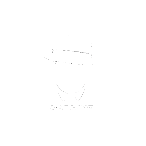 Padrino Hats